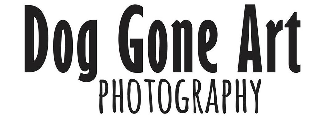 Dog Gone Art Photography — Calgary